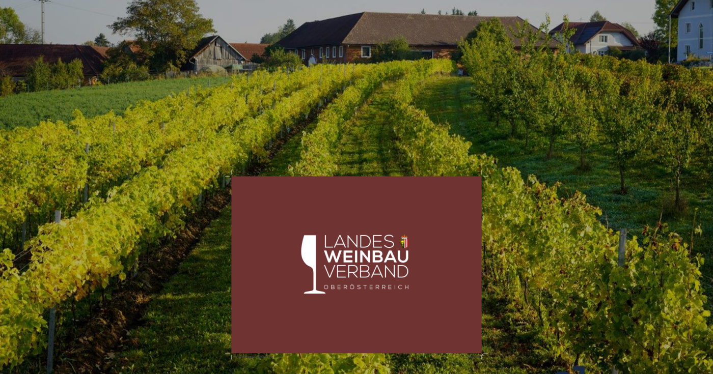 Landesweinbauverband Ober sterreich Weinvielfalt Vom Land Ob Der Enns landesweinbauverband-ober-sterreich-weinvielfalt-vom-land-ob-der-enns